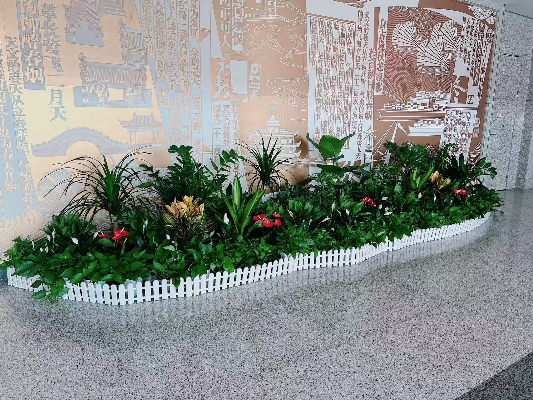 想知道奉化植物租摆价格？这里有你要的详细答案